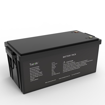 2560Wh 24V 25.6V 100Ah Cleaning Equipment Batteries lead acid replacement battery
