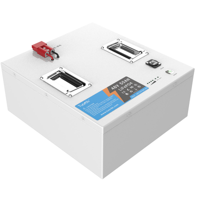 48V Lifepo4 Battery Pack , 50Ah Electric Forklift AGV Battery Pack